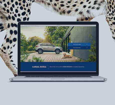 alpes-Leopardo-landingpages-para-empresas