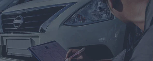 alpes-check-background